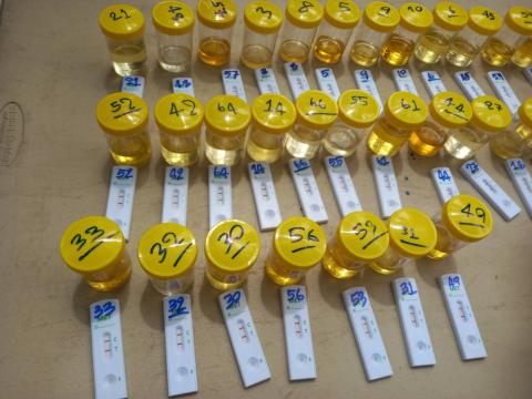 โครงการป้องกันและแก้ไขปัญหายาเสพติด ปี 2568