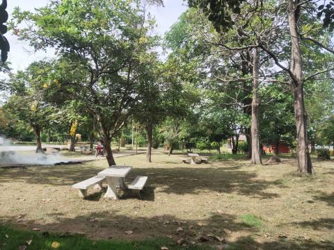 ทำความสะอาดพัทยานาเชือก