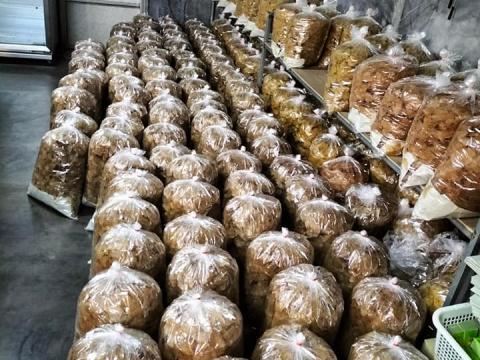 โครงการส่งเสริมสนับสนุนให้ความรู้กลุ่มอาชีพ 2566