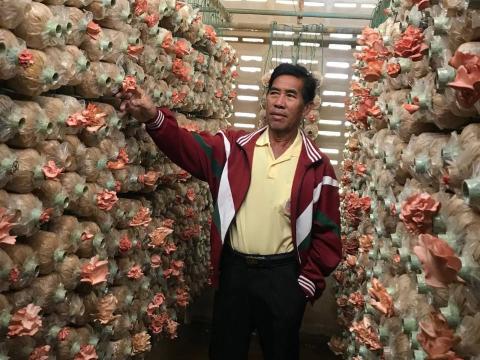 โครงการส่งเสริมสนับสนุนให้ความรู้กลุ่มอาชีพ 2566